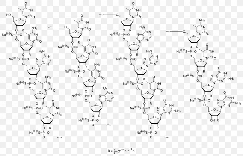Nusinersen Sodium Antisense Therapy Mipomersen Oligonucleotide, PNG, 1024x658px, Nusinersen, Antisense Therapy, Area, Atrophy, Black And White Download Free