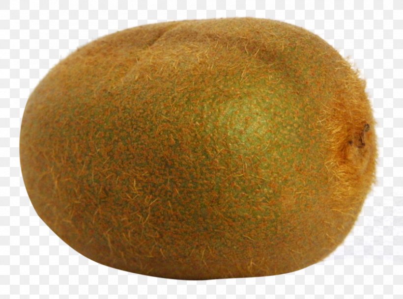 Russet Burbank Potato Kiwifruit, PNG, 850x632px, Russet Burbank Potato, Crocodile, Food, Food Spoilage, Fruit Download Free