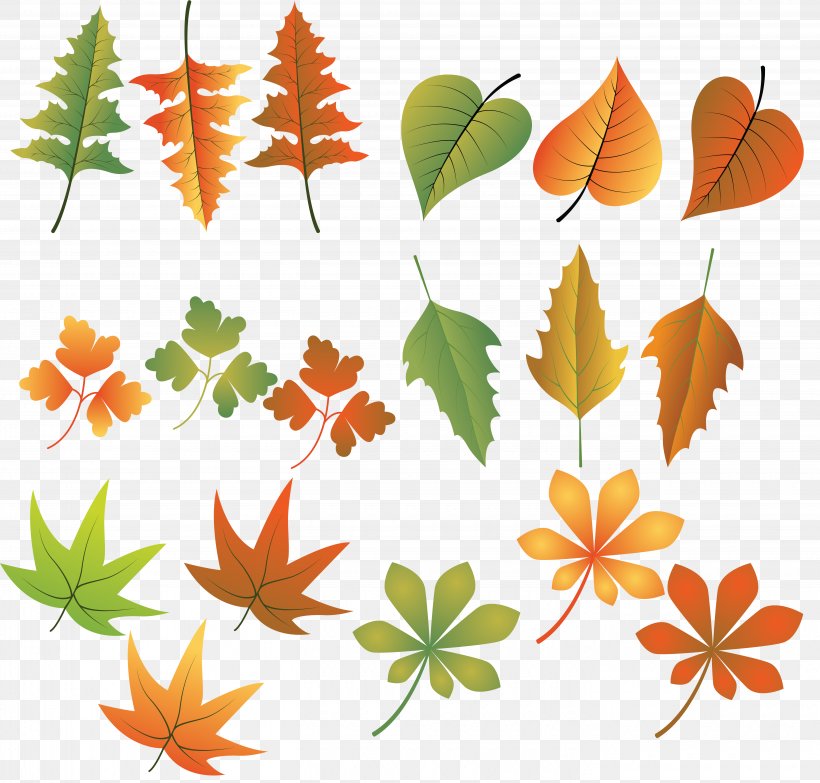 Autumn Leaf Color Drawing, PNG, 5680x5424px, Autumn Leaf Color, Artwork, Autumn, Branch, Drawing Download Free