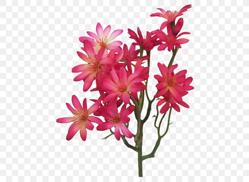 Cut Flowers Floral Design Pink M Plant Stem, PNG, 800x600px, Cut Flowers, Branch, Family, Family Film, Flora Download Free