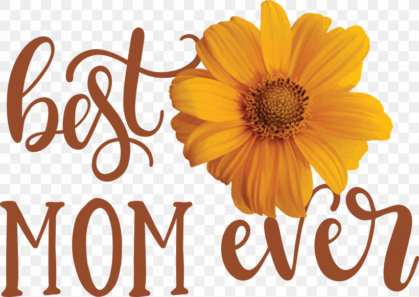 Mothers Day Best Mom Ever Mothers Day Quote, PNG, 3304x2344px, Mothers Day, Best Mom Ever, Cut Flowers, Gift, Poster Download Free