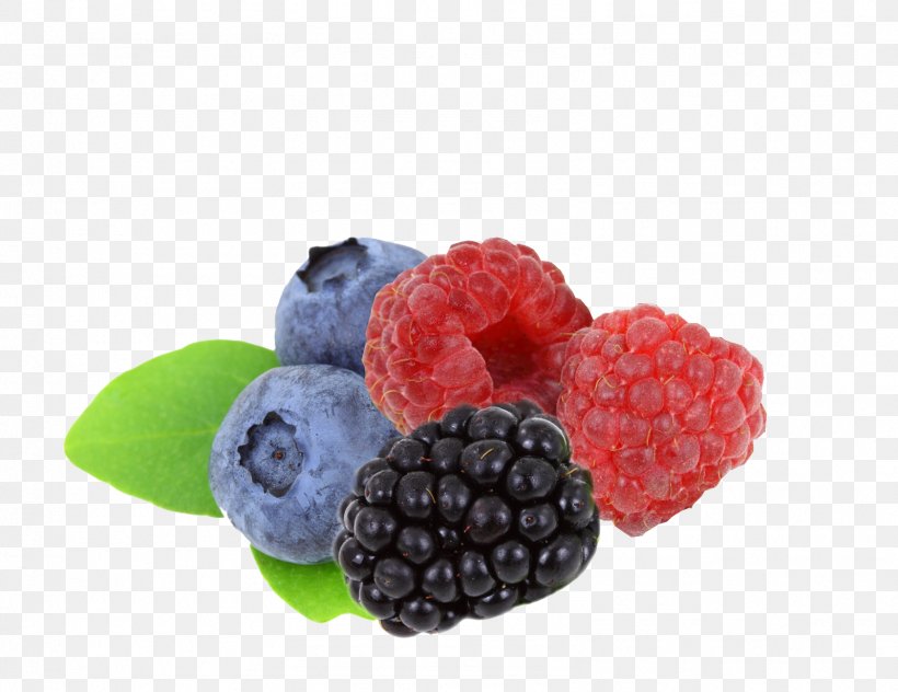 Blueberry Fruit Clip Art, PNG, 1598x1232px, Berry, Blackberry, Blueberry, Food, Fruit Download Free