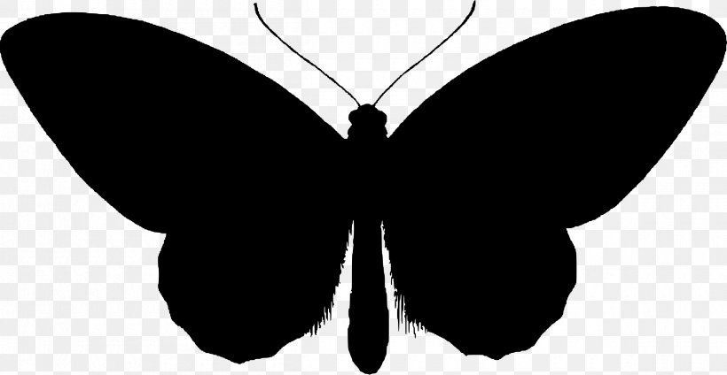 Butterfly Silhouette Clip Art, PNG, 2400x1241px, Butterfly, Arthropod, Birdwing, Black, Black And White Download Free