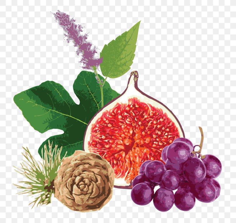 Grape Seed Extract Lotion Common Fig Food, PNG, 800x777px, Grape, Berry, Cedar Oil, Common Fig, Food Download Free