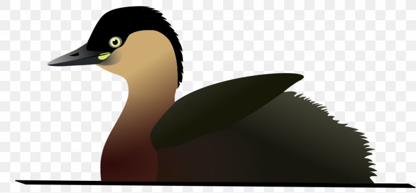 Lake Alaotra Bird Alaotra Grebe Little Grebe Extinction, PNG, 990x460px, Bird, Beak, Carolina Parakeet, Duck, Ducks Geese And Swans Download Free