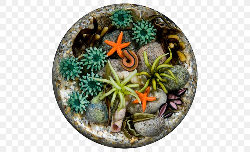 Paperweight Glass Art Tide Pool, PNG, 500x500px, Paperweight, Art, Art Museum, Christmas Ornament, Collecting Download Free
