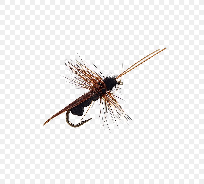 Artificial Fly Insect Mosquito Mayfly, PNG, 555x741px, Fly, Arthropod, Artificial Fly, Email, Fishing Bait Download Free