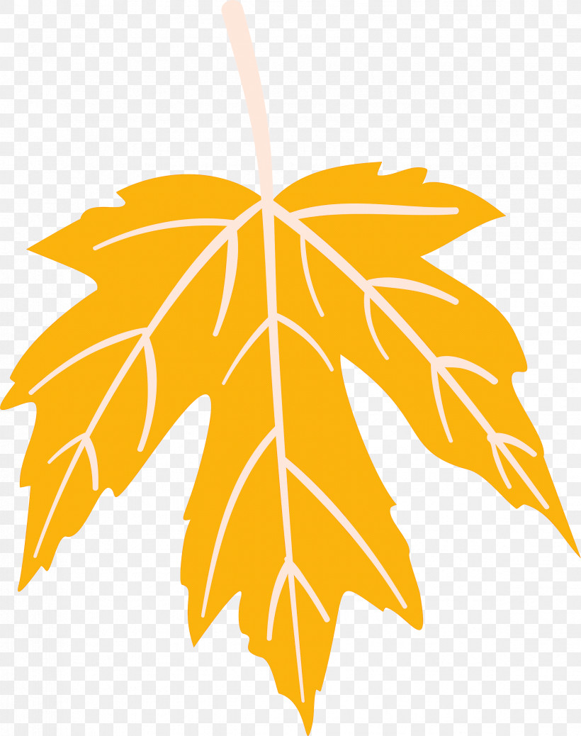 Autumn Leaf Colourful Foliage Colorful Leaves, PNG, 2367x2999px, Autumn Leaf, Autumn Leaf Color, Branch, Colorful Leaf, Colorful Leaves Download Free