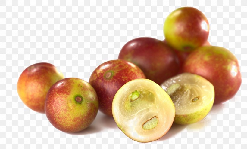 Camu Camu Amazon Rainforest Fruit Raw Foodism Peruvian Cuisine, PNG, 1000x606px, Camu Camu, Accessory Fruit, Amazon Rainforest, Apple, Barbados Cherry Download Free