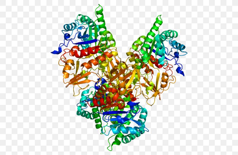CHI3L1 Chitinase Gene Biomarker Protein, PNG, 500x532px, Chitinase, Art, Biomarker, Clinical Trial, Cytokine Download Free