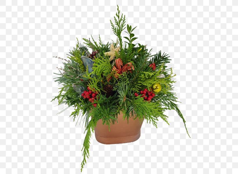 Christmas Tree Christmas Decoration Flower, PNG, 555x600px, Tree, Christmas, Christmas Decoration, Christmas Ornament, Christmas Tree Download Free