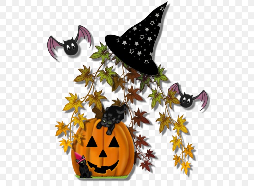 Halloween Warlock Pumpkin, PNG, 566x600px, Halloween, Butterfly, Flower, Halloween Ii, Haunted Attraction Download Free