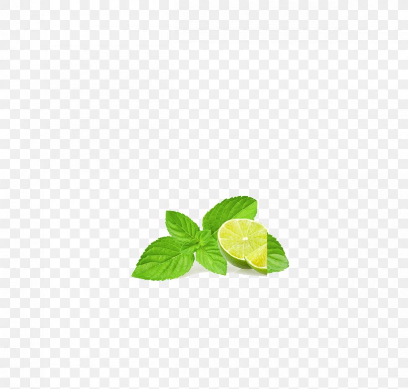 Leaf Download Clip Art, PNG, 1200x1146px, Leaf, Copyright, Green, Highdefinition Television, Ice Download Free