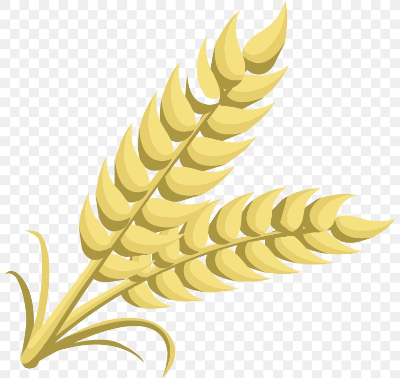 Wheat Cereal Free Content Clip Art, PNG, 800x776px, Wheat, Barley, Cereal, Commodity, Corn On The Cob Download Free