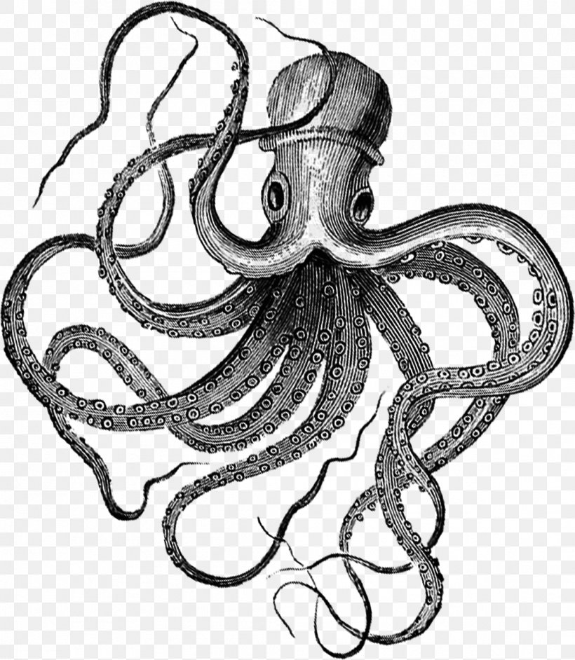 Blue-ringed Octopus Fou Club Printing Printmaking, PNG, 1058x1216px, Octopus, Art, Artwork, Black And White, Blueringed Octopus Download Free