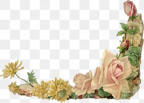 Borders And Frames Floral Design Rose Clip Art Flower, PNG, 1439x465px ...