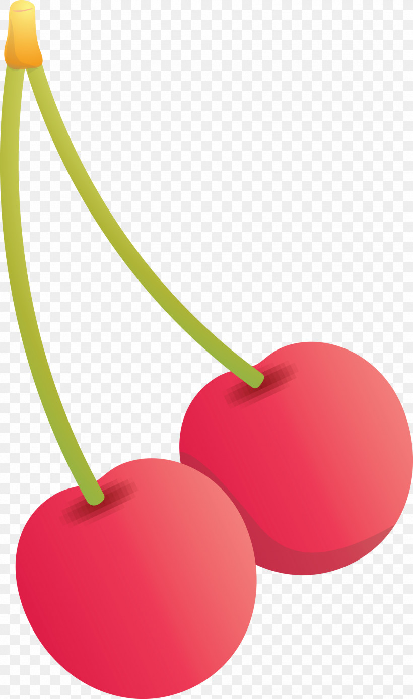 Cherry, PNG, 1771x2999px, Cherry, Drupe, Fruit, Heart, Plant Download Free
