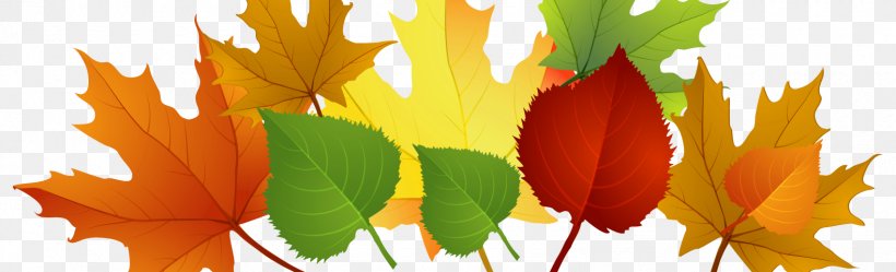 Clip Art Autumn Leaf Color Borders And Frames Image, PNG, 1580x480px, Autumn, Autumn Leaf Color, Blog, Borders And Frames, Flower Download Free