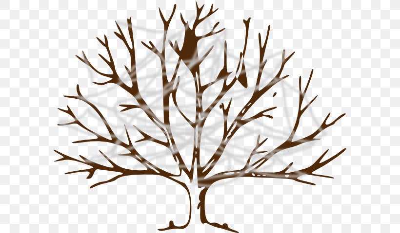 Drawing Tree Branch Clip Art, PNG, 600x479px, Drawing, Art, Black And White, Branch, Coloring Book Download Free