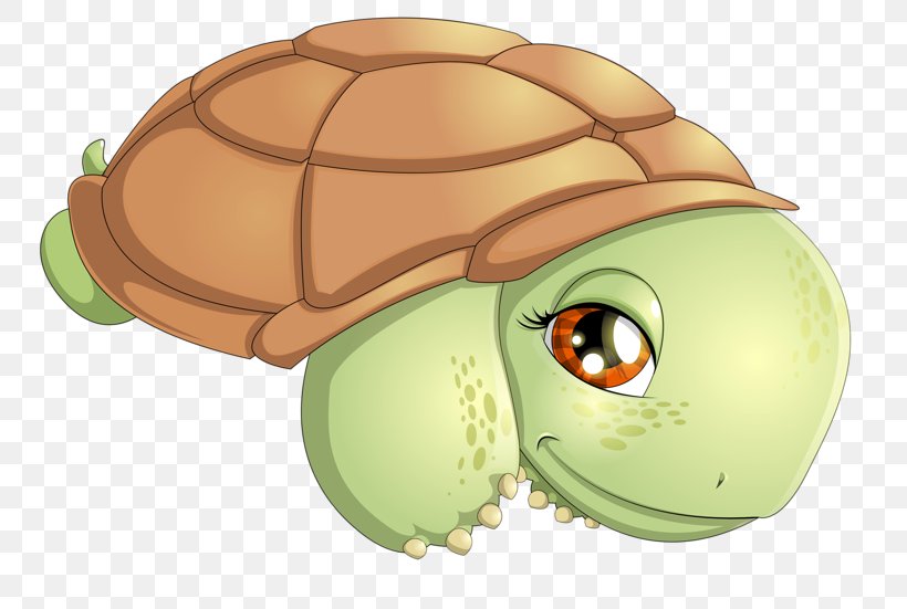 Green Sea Turtle The Tortoise And The Hare Illustration, PNG, 800x551px, Watercolor, Cartoon, Flower, Frame, Heart Download Free