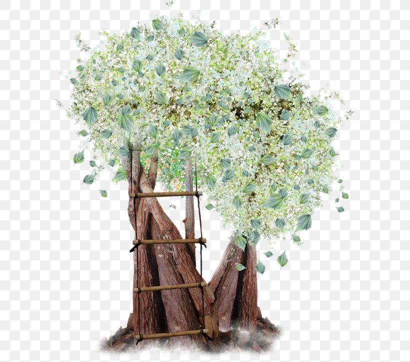 Tree, PNG, 600x723px, Tree, Branch, Cut Flowers, Data, Decoupage Download Free