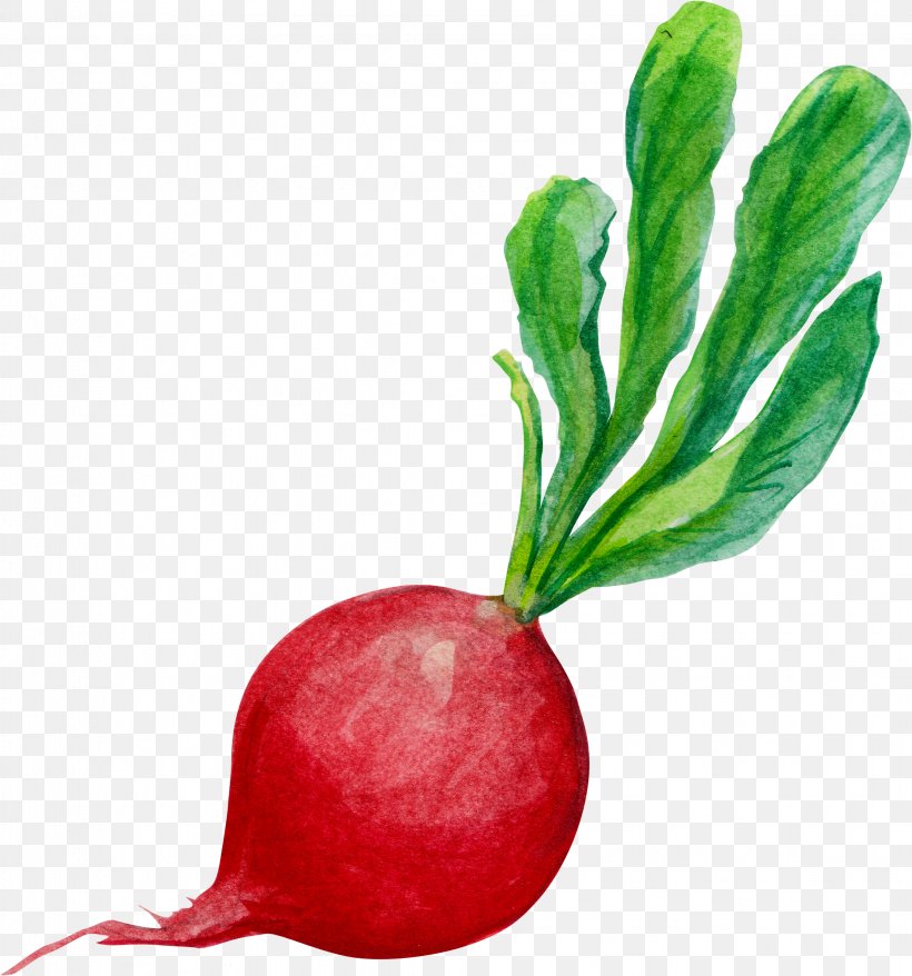 Clip Art Watercolor Painting Carrot, PNG, 2246x2407px, Watercolor Painting, Art, Beet, Beetroot, Carrot Download Free
