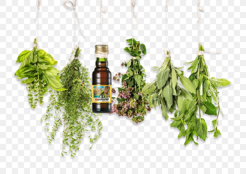 Herb Essential Oil Health Food, PNG, 762x580px, Herb, Alternative Medicine, Apple Cider Vinegar, Aromatherapy, Essential Oil Download Free