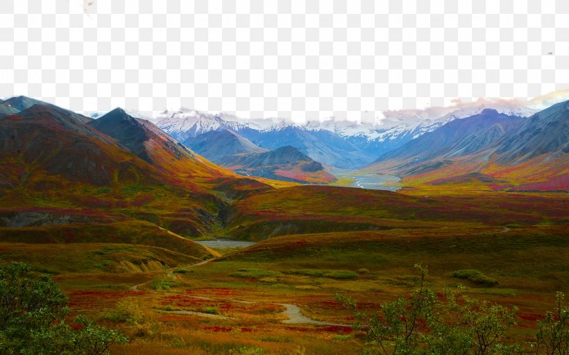 Denali National Park Landscape Wallpaper, PNG, 1920x1200px, Denali, Computer, Denali Borough Alaska, Denali National Park And Preserve, Desktop Environment Download Free