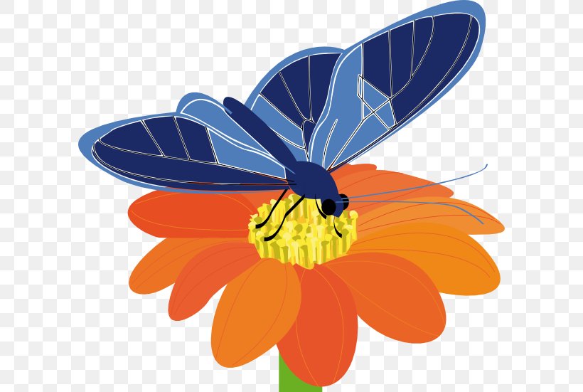 Butterfly Flower Clip Art, PNG, 600x551px, Butterfly, Arthropod, Brush Footed Butterfly, Caterpillar, Cut Flowers Download Free