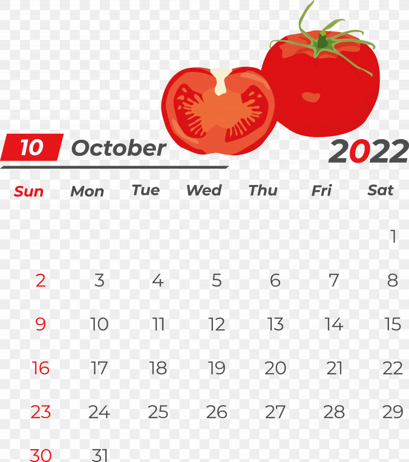 Calendar Line Font Fruit Meter, PNG, 3974x4488px, Calendar, Fruit, Geometry, Line, Mathematics Download Free