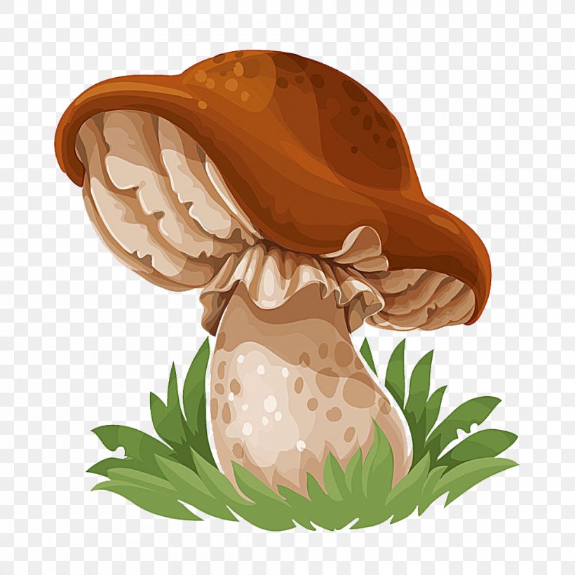 Common Mushroom Drawing Edible Mushroom, PNG, 1000x1000px, Mushroom, Cep, Common Mushroom, Drawing, Edible Mushroom Download Free