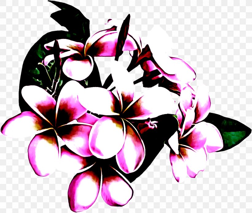 Frangipani Pink Hawaiian Hibiscus Petal Flower, PNG, 1200x1018px, Frangipani, Flower, Hawaiian Hibiscus, Magenta, Petal Download Free