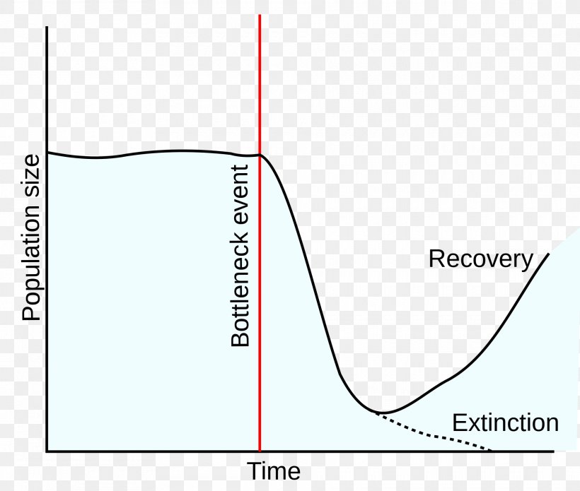 Population Bottleneck Small Population Size Founder Effect Genetic Diversity, PNG, 1920x1628px, Population Bottleneck, Area, Biology, Bottleneck, Diagram Download Free