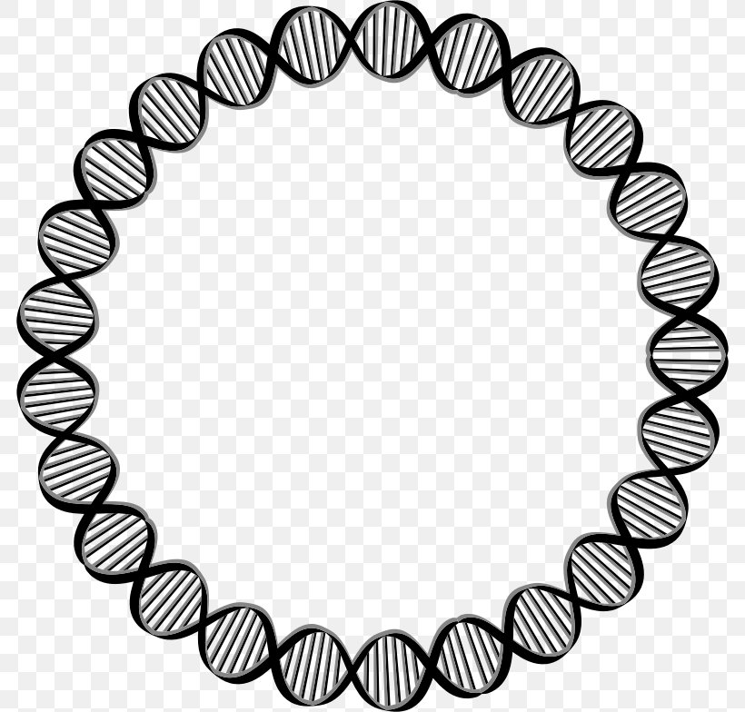 DNA Circle Gene Clip Art, PNG, 784x784px, Dna, Black, Black And White, Body Jewelry, Cell Download Free