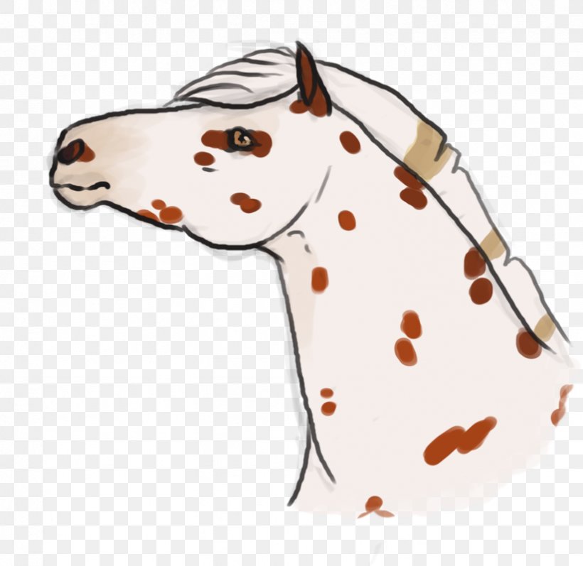 Giraffe Bridle Halter Rein Neck, PNG, 823x800px, Giraffe, Bridle, Giraffidae, Halter, Headgear Download Free