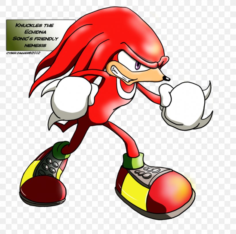 Knuckles The Echidna Rouge The Bat Sonic X-treme Drawing Blaze The Cat, PNG, 896x891px, Knuckles The Echidna, Area, Art, Artwork, Blaze The Cat Download Free