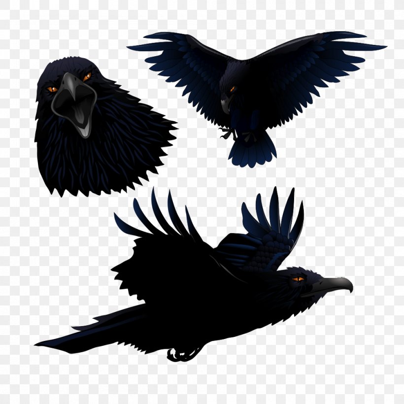 Common Raven Bird Clip Art, PNG, 1000x1000px, Common Raven, Beak, Bird, Crow, Crow Like Bird Download Free