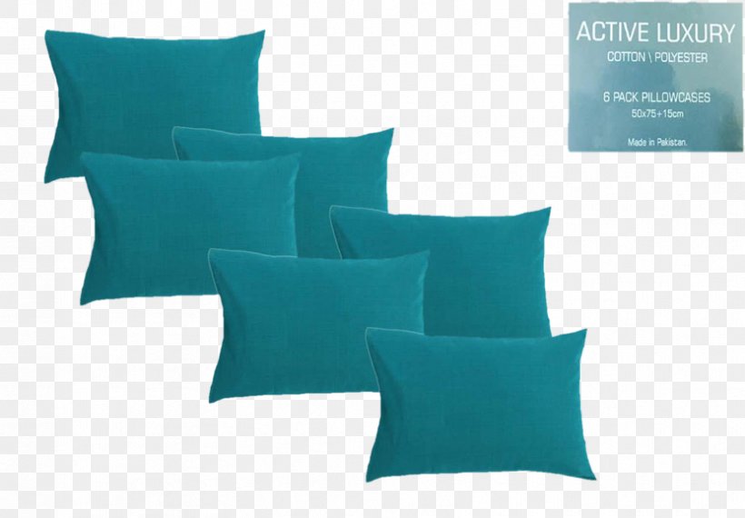 Cushion Throw Pillows, PNG, 831x578px, Cushion, Aqua, Pillow, Throw Pillow, Throw Pillows Download Free