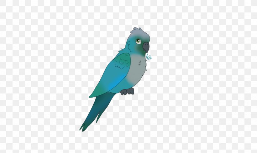 Lovebird Macaw Parakeet Cobalt Blue Feather, PNG, 1024x614px, Lovebird, Beak, Bird, Blue, Cobalt Download Free