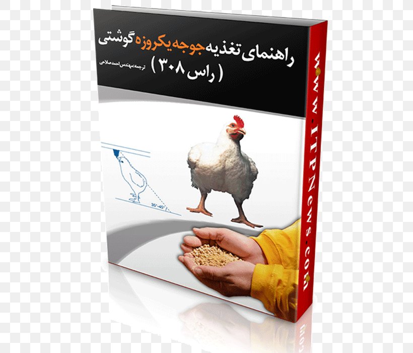 Broiler Chicken Meat Food Nutrition, PNG, 500x700px, Broiler, Advertising, Avian Influenza, Book, Chicken Download Free