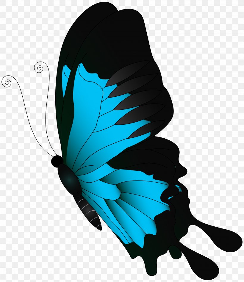 Butterfly Desktop Wallpaper Clip Art, PNG, 4323x5000px, Butterfly, Arthropod, Butterflies And Moths, Color, Display Resolution Download Free