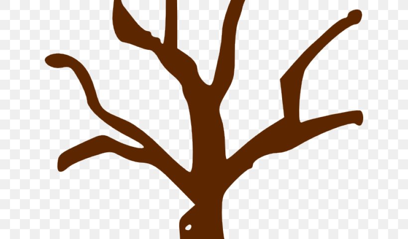Clip Art Branch Tree Illustration Free Content, PNG, 640x480px, Branch, Birch, Leaf, Plant, Plant Stem Download Free