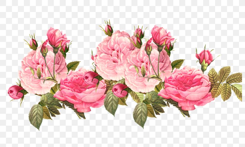 Vintage Clothing Flower Floral Design Clip Art, PNG, 800x491px, Vintage Clothing, Azalea, Blossom, Branch, Centifolia Roses Download Free