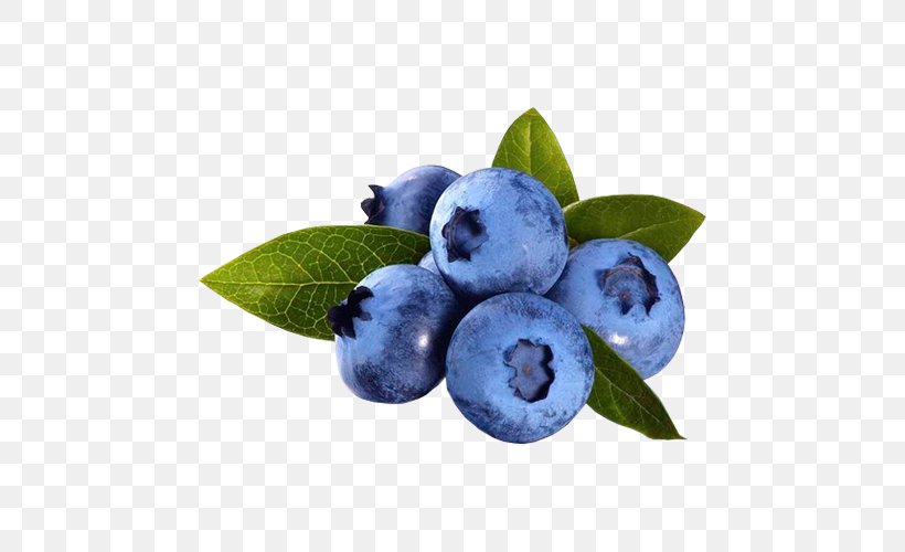 Blueberry Pie Blueberries For Sal Antioxidant, PNG, 500x500px, Blueberry, Anthocyanin, Antioxidant, Aristotelia Chilensis, Berry Download Free