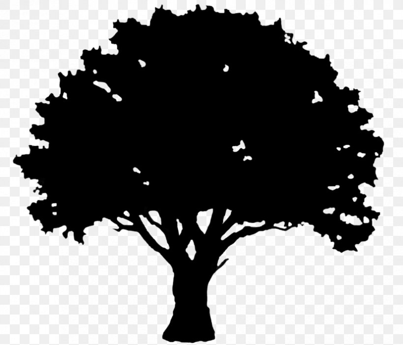 English Oak Tree Silhouette Clip Art, PNG, 827x709px, English Oak, Acorn, Black, Black And White, Branch Download Free
