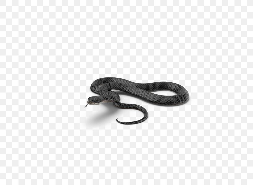 SNAKE'M Computer Hardware, PNG, 600x600px, Computer Hardware, Hardware, Reptile, Scaled Reptile, Snake Download Free