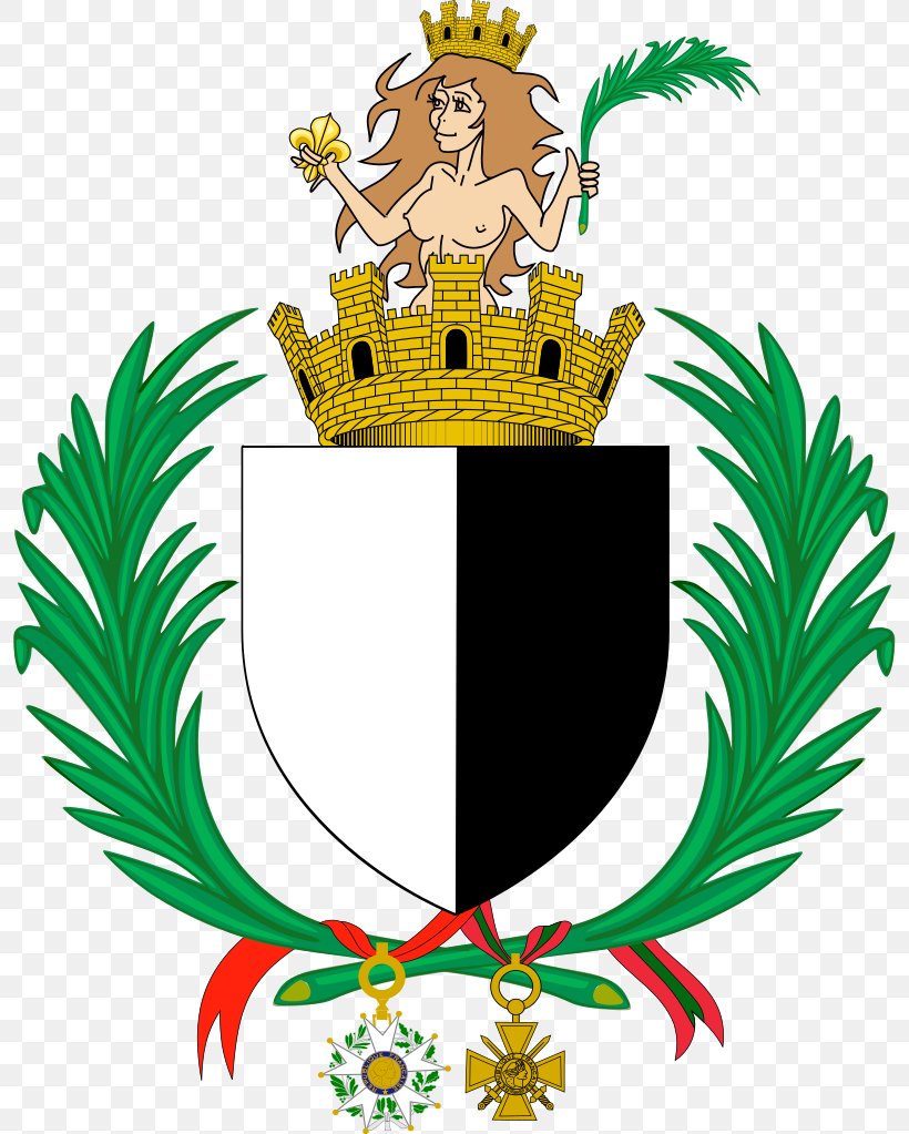 Coat Of Arms Of Peru Clip Art Crest Frauenwappen, PNG, 796x1023px, Coat Of Arms, Artwork, Coat Of Arms Of Peru, Crest, Family Download Free