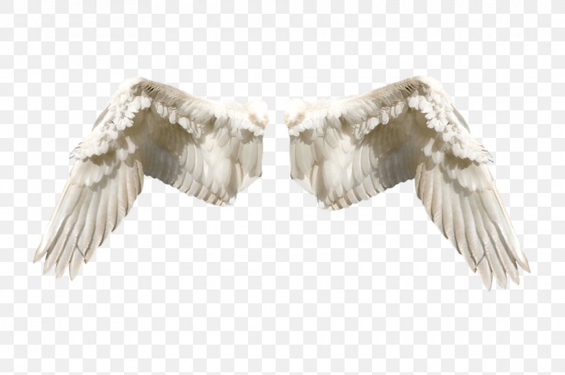 Guardian Angel Fairy Flight, PNG, 960x637px, Angel, Beak, Demon, Elf, Fairy Download Free
