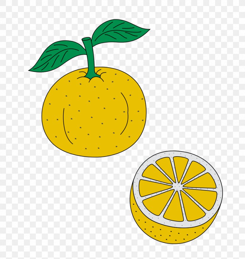 Lemon Citrus Junos Line Clip Art, PNG, 970x1024px, Lemon, Citrus, Citrus Junos, Flowering Plant, Food Download Free