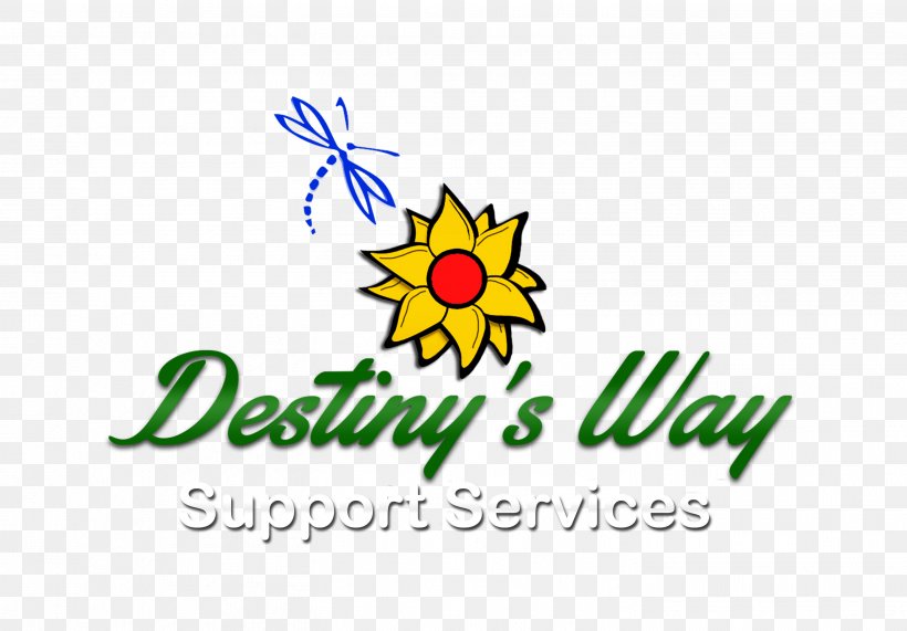 Destiny's Way Photography Client Portal The New Jedi Order, PNG, 2934x2046px, 2018, 2019, Photography, Area, Artwork Download Free